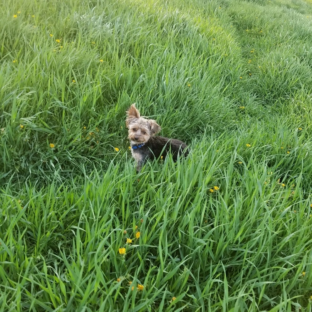 Meet your Posher, Traci